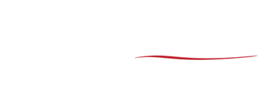 TBF AMDI Logo Pair white